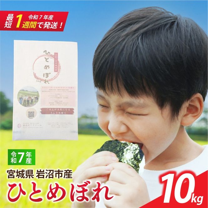 【 令和7年産 】 宮城県産 ひとめぼれ 10kg (5kg×2袋) 単品 一等米 すぐ 届く 米 精米 東北米 ふるさと納税 米 お米 白米 コメ ライス ご飯 米10kg 10キロ ごはん 美味しい 国産 宮城県 岩沼市 kome okome お取り寄せ 産地直送 東北 SD002