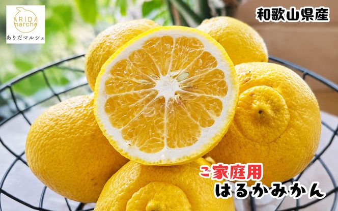 【先行予約】【人気柑橘】有田育ちの はるか みかん（訳あり 家庭用）約1kg+200g(傷み補償分) ※2027年1月下旬～3月下旬に順次発送予定 ※着日指定不可【ard251】