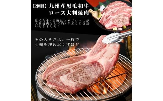 【定期便 全2回】国産 黒毛和牛2種お楽しみ定期便(計1.9kg) t0029-001