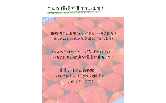 先行受付【2027年1月下旬～発送予定】【訳アリ 冷凍いちご】静岡県産の完熟紅ほっぺを使用した冷凍いちご大容量3kg!【静岡県産】 222232_CF005