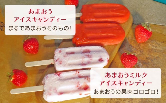 あまおう / あまおう ミルク アイス キャンディ 2種 10本セット 糸島市 / 磯本農園 TANNAL [ATB025] あまおう イチゴ いちご アイス アイスキャンディ アイス スイーツ おやつ