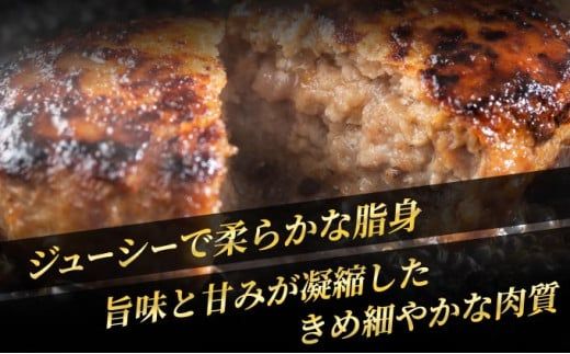 【佐賀牛】ハンバーグ 100g×10個 国産 黒毛和牛 ハンバーグ 小分け 冷凍 使いやすい  ブランド牛 お弁当 ごちそう パーティ グルメ お取り寄せ