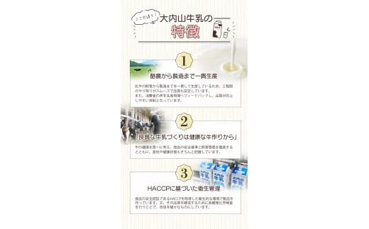 バター 【5回定期便】大内山瓶バターの定期便 300g×2個を5回お届け！ / バター 有塩バター 瓶 クリーム パン 料理 材料 お菓子 お菓子作り 国産 三重県産 チャーン製法 手造り 手作り てづくり 乳製品 定期便【tkb409】