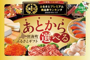 御礼！ランキング第１位獲得！イチオシ！大好評！あとからセレクト【ふるさとギフト】北海道別海町！あとから 選べる カタログ ギフト 肉 カタログギフト・チケット お菓子・スイーツ 魚介・海産物 加工食品 定期便 ふるさと納税