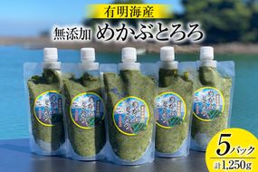 AE140有明海産 無添加めかぶとろろ（250g×5パック）