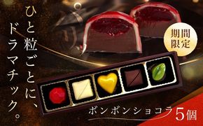 【2026年2月～発送】ボンボンショコラ 5個入り / チョコ チョコレート お菓子 バレンタイン/ 南島原市 / 本田屋かすてら本舗 [SAW031]