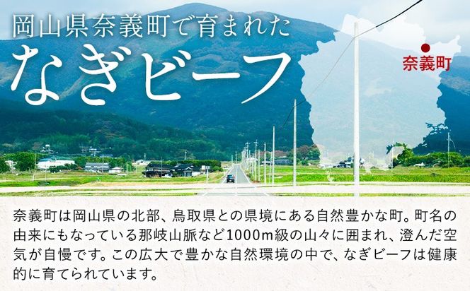 牛肉 ステーキ ヒレ ヒレステーキ 奈義和牛 和牛 5枚入り 150g×5枚 天満屋《30日以内に出荷予定(土日祝除く)》岡山県 笠岡市 送料無料 肉 牛 牛肉 なぎビーフ 奈義 和牛 ヒレ肉 希少部位 極上 やわらかい お取り寄せグルメ---T-36---