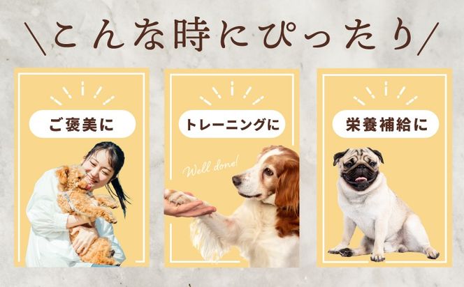 099H4347 犬用ご褒美おやつセット【ドッグ いぬ 犬 イヌ おやつ ペット 果物 くだものドック 国産 安心 犬のおやつ】