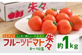 フルーツトマト 朱朱 LLサイズ (計1kg・8-10玉) LL 高糖度 糖度 フルーツトマト トマト 野菜 サラダ 大分県 佐伯市 九州産 国産 大分県 佐伯市【CH61】【(株)サニープレイス】