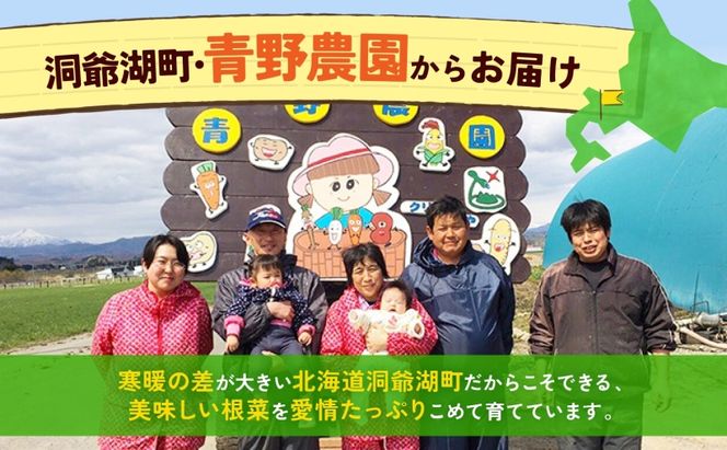 数量限定 根菜3種セット 計8.6kg 土付き 長芋 5kg 土付き ごぼう 1.8kg じゃがいも 1.8kg 先行予約 2026年11月下旬～12月下旬までのお届け 野菜 詰め合わせ 根菜 常温 青野農園 北海道 洞爺湖町