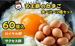 【天王原のたまご】サクセス卵30個/ロイヤル卵30個