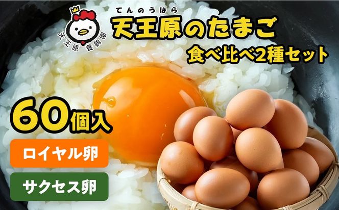 【天王原のたまご】サクセス卵30個/ロイヤル卵30個
