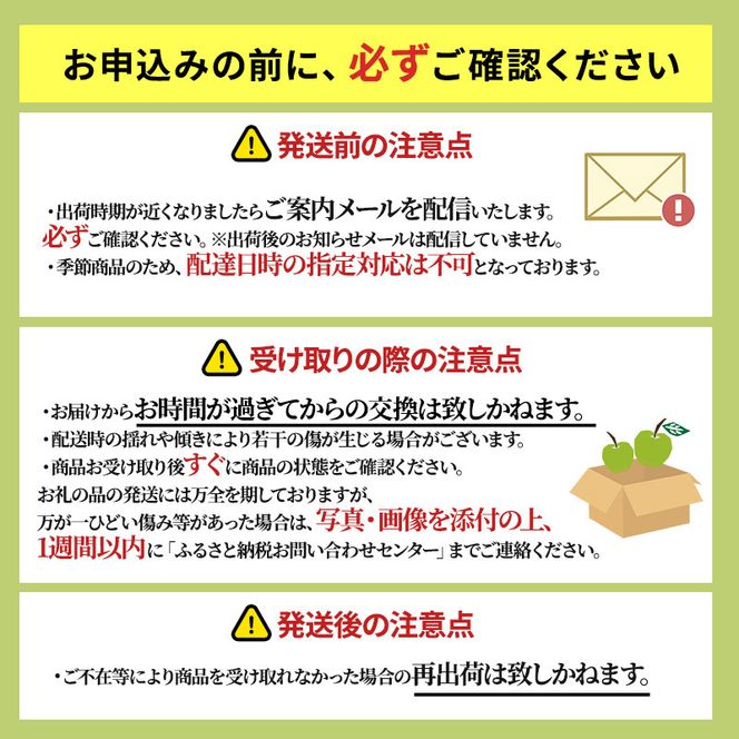 りんご【11月～2月発送】糖度13度以上 ぐんま名月 おもてなし用 家庭用 約3kg【青森りんご】