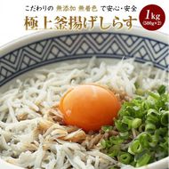 5.極上釜揚げしらす1kg（500g×2）(A5-1)