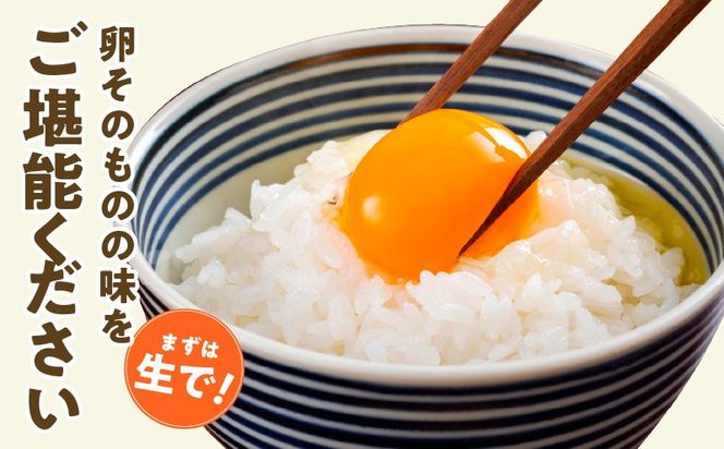 099Z163 戸野さん家のこだわりタマゴ 定期便 30個×全6回 Mサイズ 合計 180個【毎月配送コース 卵 国産 濃厚 餌にこだわった とのたま】