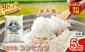 【新米　先行予約】令和8年産近江米　コシヒカリ 白米【5kg×1袋】【V022W】