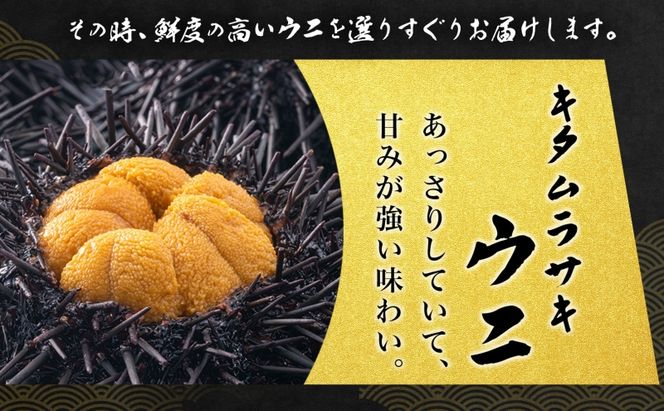ミョウバン不使用 塩水 ウニ100g 3パック 7月下旬頃までお届け  [水揚げ後 順次出荷]  キタムラサキウニ うに ウニ 雲丹 ムラサキウニ 魚貝 魚介 海鮮 海産 小川商店 送料無料 北海道 洞爺湖