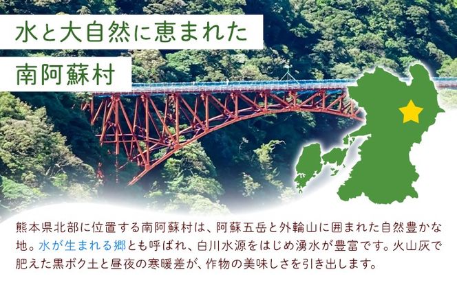 有機JAS認定 オーガニック さつまいも 選べる 5kg 10kg 農園ベルの樹《12月上旬-3月下旬頃出荷》熊本県 南阿蘇村 さつまいも オーガニック 有機栽培 薩摩芋---sms_blkost_ak123_r7_11500_5kg---