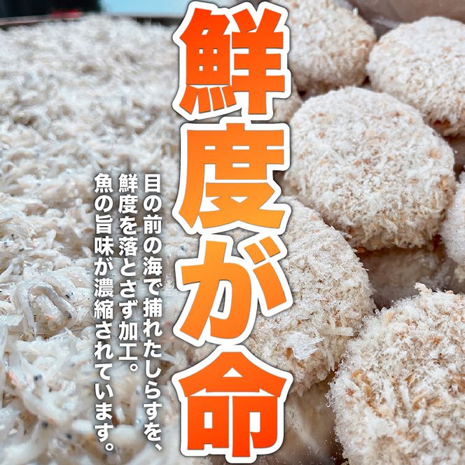師崎名物じゃこコロッケ 20個 しらす コロッケ 揚げ物 フライ 小分け 惣菜 晩御飯 おすすめ 人気 愛知県 知多 特産品 南知多町