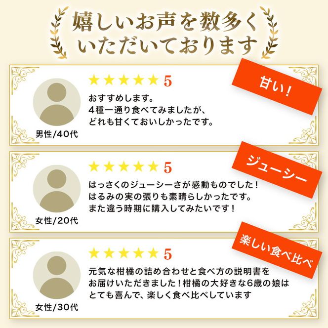 ＜1月より発送＞家庭用 柑橘詰合せ5kg+250g（傷み補償分）◇【訳あり・わけあり】【有田の春みかん詰め合わせ・フルーツ詰め合せ・オレンジつめあわせ】【光センサー選別】