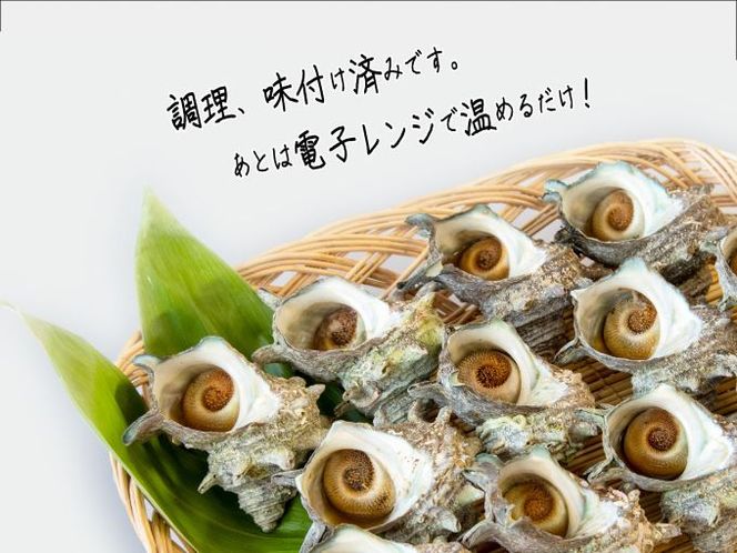 天然 サザエ 味付き 冷凍 約1kg 中12～14個入り 青森県西海岸産 貝 貝類 海鮮 海鮮セット 簡単調理 レンジ簡単調理 温めるだけ おかず おつまみ つまみ お酒のつまみ 酒のつまみ 青森 青森県 鰺ヶ沢町