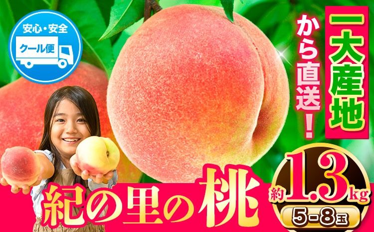 [数量限定 お試し容量] 和歌山県産 紀の里の桃 約1.3kg (5〜8玉) 先行予約[2025年6月中旬-8月中旬頃出荷]桃 もも モモ 果物 フルーツ お取り寄せ 和歌山 白鳳 日川白鳳 八旗白鳳 清水白桃 川中島白桃 送料無料---wfn_cwlocal44_6c8c_24_10000_13---