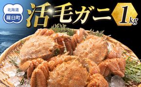  【先行予約/2026年4月発送開始】活毛ガニ　１kg　300g～500g　２～３尾 016942_AH269