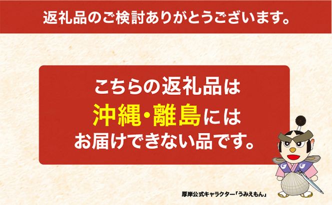 北海道 厚岸産 大鷲牡蠣 10個 カキ 牡蠣 殻牡蠣 魚貝類 海鮮 海の幸 生牡蠣 カキえもん 生食用牡蠣 殻付かき つまみ お酒のあて 