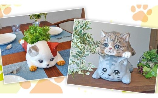 おえかきにゃんこ の 水耕栽培キット 家庭菜園 小物入れ 収納 インテリア 野菜 やさい 夏休み 自由研究 工作 [EM001ci]