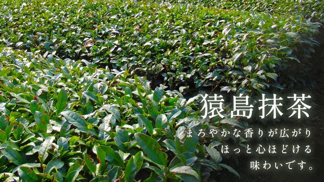 【 茨城県産 紅はるか 使用 】 猿島産 抹茶入り お芋 の 結 バスクチーズケーキ 【 パウンド型 】 ケーキ チーズケーキ スイーツ 洋菓子 デザート おやつ さつまいも 抹茶 チーズケーキ スイーツ 洋菓子 5000円 [DL06-NT]
