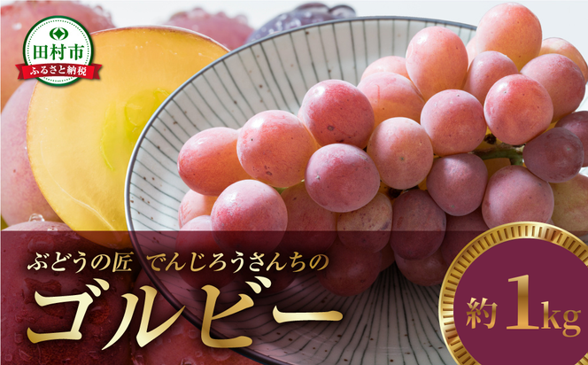 ＼ 先行予約 2026年発送 ／ ゴルビー 約1kg 冷蔵 種無し 種なし シャインマスカット ブドウ ぶどう 品種 果物 甘い 巨峰 美味しい 希少 人気 福島県 田村市  鈴木農園 でんじろうさん