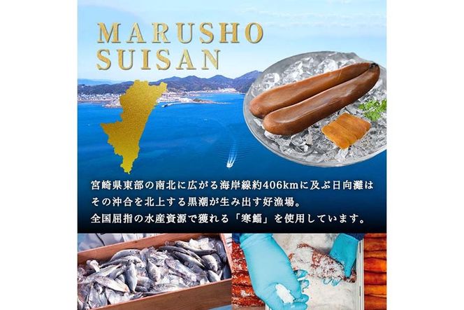 宮崎県産 手作り本からすみパウダー 計120g(40g×3袋) カラスミ 魚卵 珍味 つまみ 唐墨 珍味 酒の肴 ボラ ぼら トッピング 宮崎県 門川町 【AW-113】【丸正水産】