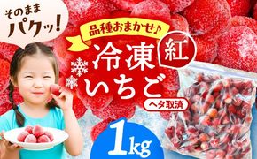 冷凍苺 1kg 果物 フルーツ 紅ほっぺ やよい姫 かんな姫 愛西市 / くぼ苺農園 【配達不可：離島】[AECJ025]