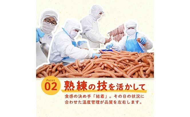 【訳あり・業務用】ウインナー 合計3kg！どんどん使える！ポークウインナー(1kg×3袋) a1-047