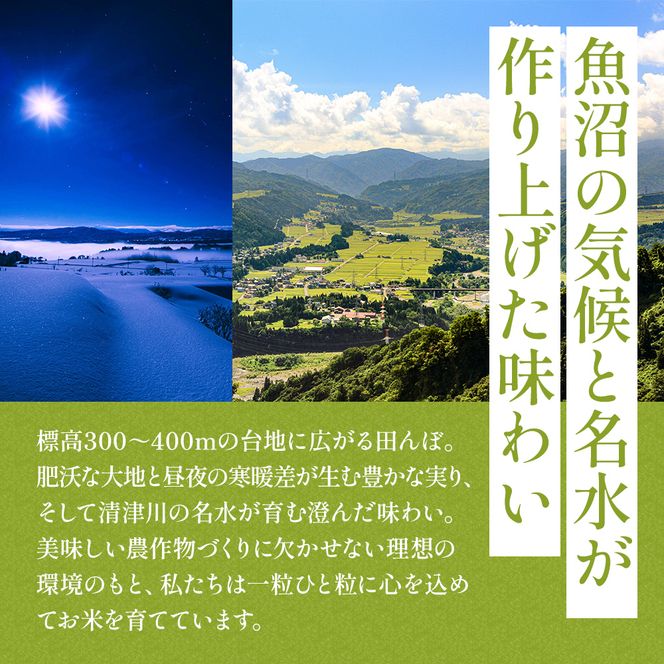 【令和8年産 先行予約】〈定期便〉魚沼産特別栽培米コシヒカリ［清津の恵］精米10kg（5kgx2袋）全6回