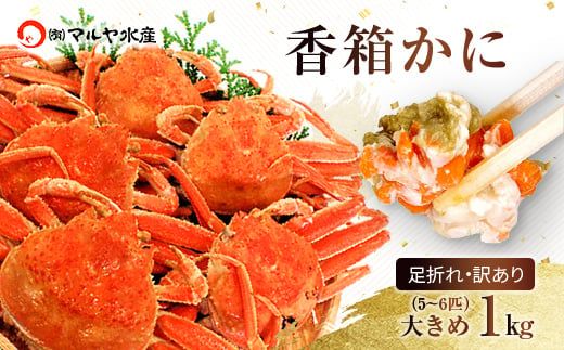 【12月16日～12月25日発送】石川県産 香箱蟹 せいこ 訳あり 大きめ 1kg 5～6匹 F6P-3483