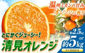 とにかくジューシー 清見 オレンジ 約2.5kg 約5kg 株式会社魚鶴商店《2027年3月下旬-5月上旬頃出荷》和歌山県 日高川町 柑橘 果物 フルーツ 清見オレンジ---wshg_uot227_3g5j_26_10000_2500g---