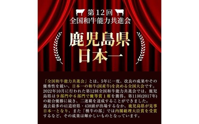 【鹿児島県産黒毛和牛・黒豚】お家でいただく極上 焼肉セット(チーズウインナー＆タレ付き)計1.3kg以上！ b5-202
