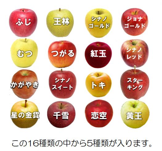 ドライフルーツ 青森 農家が干した りんご 40g×5種 計5袋 セット 風丸農場 無添加 品種おまかせ ひとくちサイズ ドライアップル 詰め合わせ 食べ比べ 干しリンゴ ドライ アップル スイーツ お菓子 菓子 おやつ フルーツ 果物 リンゴ 林檎 青森県