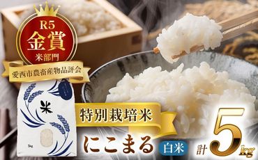 令和6年産　新米　愛知県産にこまる　白米5kg　特別栽培米　ご飯　精米／戸典オペレーター[AECT016]