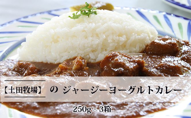 ジャージーヨーグルトカレー 250g×3箱 加工食品 惣菜 レトルト インスタント 