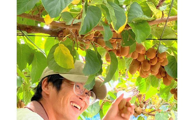 さぬきキウイっこ　約2kg 372013_LB001