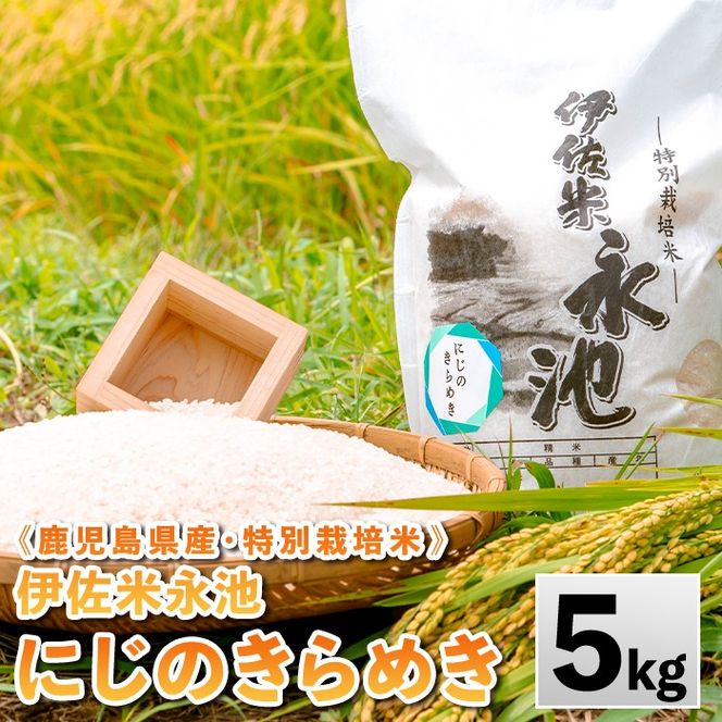 isa745 《数量限定》令和7年産 特別栽培米 伊佐米永池 にじのきらめき(5kg) 伊佐市 永池 特産品 お米 米 白米 精米 伊佐米 にじのきらめき 5kg 【エコファーム永池】