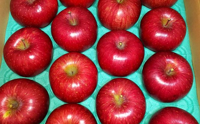 サンふじ（家庭用） 約5kg（15～20玉入り）トメズファーム　りんご　長野　信州　小諸　果物　フルーツ