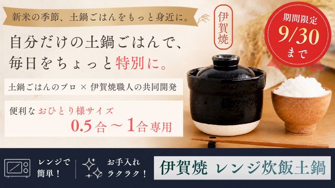 【2個セット】伊賀焼 レンジ炊飯土鍋　伊賀ノ匠2個セット　IG21 pmdt0002