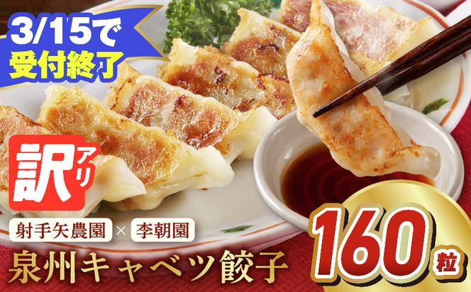 099H4138-1 【3月15日受付終了】泉州キャベツ餃子160粒【訳あり フードロス削減 生餃子 手作り ぎょうざ ギョーザ 惣菜 冷凍 焼くだけ 簡単調理】
