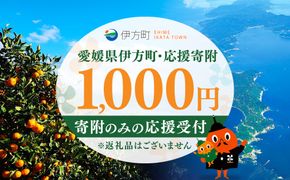 【返礼品なし】愛媛県伊方町・応援寄附1,000円（寄附のみの応援受付 ※返礼品はございません） IKTBG001