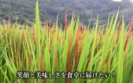 糸島産赤米（5分づき） 糸島市 / Carna [ALA053] 国産 お試し 送料無料 古代米 玄米 もち米 雑穀 赤米