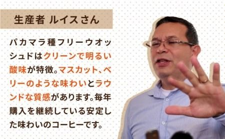 【年内発送】中煎り コーヒー 豆 250g × 2袋 （ 豆 ・ 粉 選べます ） ニカラグア産 ラベンディション農園 パカマラ種 フリーウォッシュド 《糸島》 【COFFEE UNIDOS】 [AQF002] 珈琲 カフェ コーヒー粉