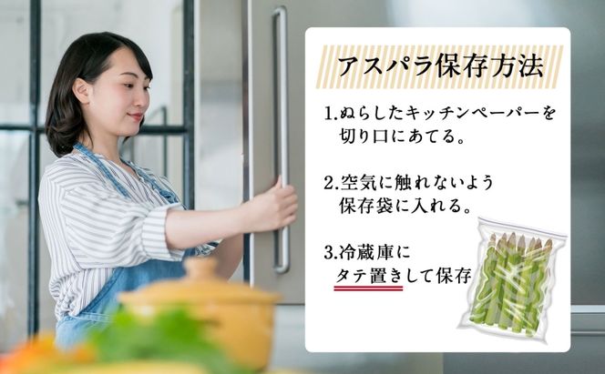 北海道 グリーンアスパラガス 約800g M-L サイズ混合 アスパラガス アスパラ 朝採れ 採れたて 新鮮 野菜 農作物 産直 国産 羊蹄山麓産 JAようてい